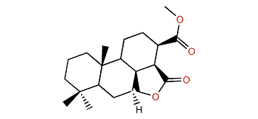 Dendrillol 3